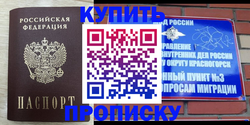 прописка гарантия в Звенигово